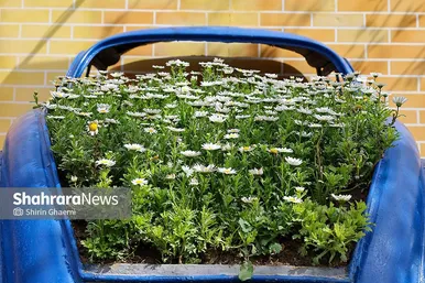 گزارش تصویری | باغ گلهای مشهد میزبان بازدید کننده گان نوروزی