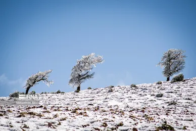 ایران زیباست | گلستان برفی