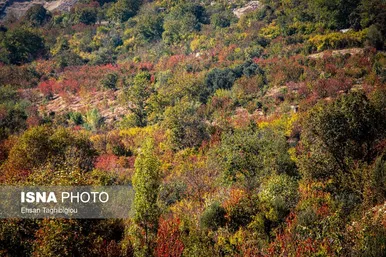 ایران زیباست | پاییزِ هزاررنگ در روستای شیت - طارم