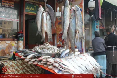 ماهی فروشان مزارشریف