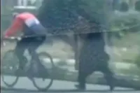 ویدئو | مادری که با دویدن پشت دوچرخه دخترش از او حمایت کرد