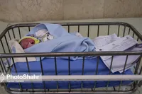 اثرات درمانی «آغوز» و شیر مادر