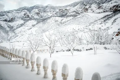 ایران زیباست | گلستان برفی