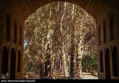 ایران زیباست | طبیعت باغ پهلوان پور- مهریز