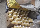 بازرسان جهاد کشاورزی یک کارگاه تولید و پخش محصولات تقلبی را در مشهد کشف کردند
