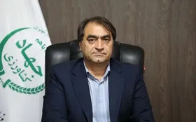 مرغداران نگران تأمین نهاده نباشند|توزیع خوراک دام و طیور با ارز دولتی