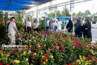 نمایشگاه گل وگیاه مشهد ۱۴۰۵ | گل برای بازدیدکنندگان ارزان و برای تولیدکنندگان گران است + فیلم