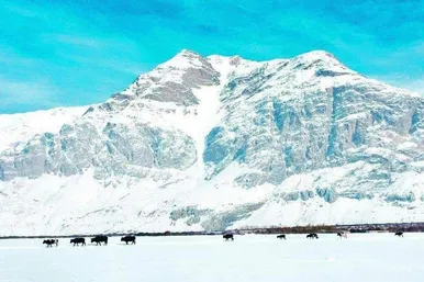 عکس‌هایی از واخان بدخشان در شمال افغانستان