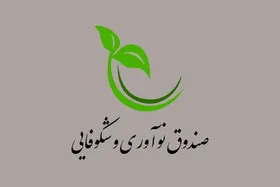 برنامه&zwnj;های جدید صندوق نوآوری و شکوفایی برای حمایت از شرکت&zwnj;های دانش&zwnj;بنیان