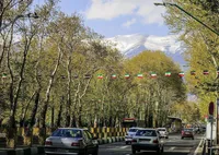 ماجرای انتقال درخت از مشهد به تهران چه بود؟ + فیلم