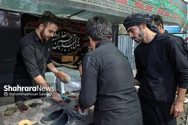 زائران پیاده امام رضا (ع)