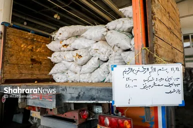 گزارش تصویری | بازدید رئیس کمیسیون اصل ۹۰ از میدان‌بار سپاد مشهد (۲۴ بهمن ۱۴۰۳)