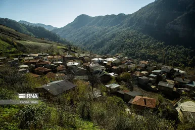 کشت و فرآوری توتون در گلستان