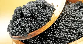تولید مرواریدسیاه برای نخستین بار در خراسان رضوی