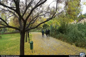 باران، آلودگی سه روزه هوای مشهد را شست | وضعیت قابل قبول شاخص آلودگی هوا  (۱۷ آبان ماه ۱۴۰۲)