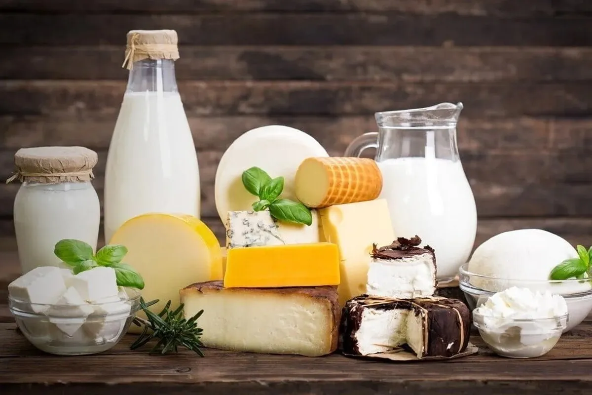 آغاز طرح نظارت بر محصولات لبنی و برنج در خراسان رضوی (۲۲ اردیبهشت ۱۴۰۴)