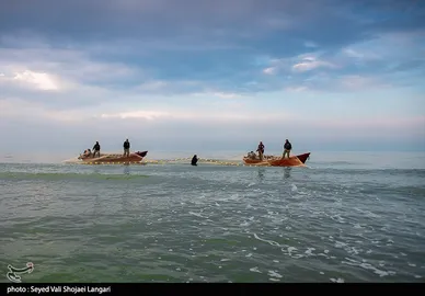 صید ماهی استخوانی - مازندران