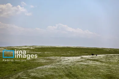 ایران زیباست | جنگل «فندقلو»