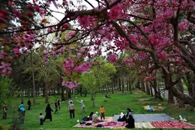 وضعیت آب&zwnj;وهوای همه استان&zwnj;های کشور در روز سیزده&zwnj;بدر (۱۳ فروردین ۱۴۰۲) + جدول هواشناسی