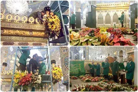 گل&zwnj;آرایی حرم حضرت زینب کبری (س) توسط خادمان آستان قدس رضوی