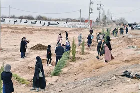 دالانی سبز از روستای پاژ تا آرامگاه فردوسی