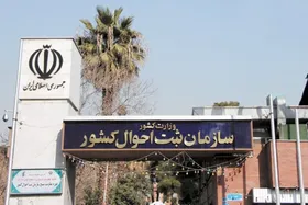 پرمخاطب&zwnj;ترین اسم دختران و پسران در تهران مشخص شد