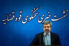 سخنگوی قوه&zwnj; قضائیه: حکم یکی از بزرگ&zwnj;ترین پرونده&zwnj;های مفاسد اقتصادی صادر شد | برخورد با سایت&zwnj;های متخلف عرضه بلیت سفر اربعین