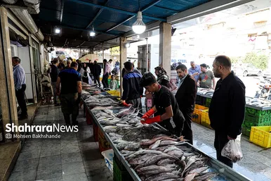 بازار ماهی فروشان در شهرک عرب‌های مشهد
