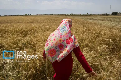 گزارش تصویری | تحصیل در باغ خانه معلم