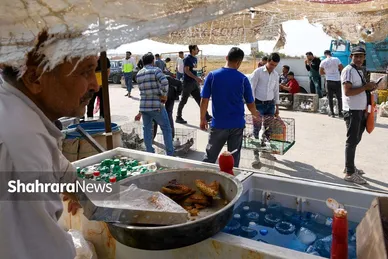 عکس‌هایی از جمعه‌بازار پرنده‌فروشان در شمال شرق مشهد