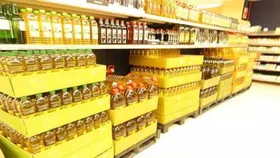 بازار روغن چه زمانی به سروسامان می&zwnj;رسد؟