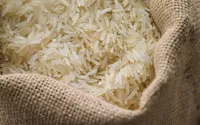 واردات ۱۶۵۰ تن برنج پاکستانی به خراسان رضوی | آیا مشکل کمبود برنج حل می‌شود؟