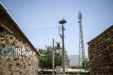 «خداوند لک‌لک‌ها را دوست دارد»
