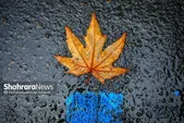 بارش و رگبار در غرب و شمال کشور | کاهش دما از جمعه (۱۷ مهر ۱۴۰۵)