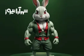 کارت&zwnj;های امروز راکی ربیت (جمعه ۲۳ شهریور ۱۴۰۳) + پاسخ انیگما جدید و توکن&zwnj;های مخفی