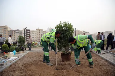 اولين دوره مسابقات گلكاری و طراحی فضای سبز