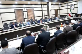 درخواست معاون استاندار نجف برای حضور پزشکان ایرانی در مراسم اربعین