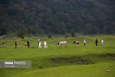 گزارش تصویری | ایران زیباست؛ سوادکوه