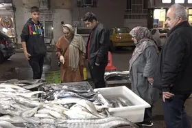 ویدئو | بوی عیدی... بوی ماهی؛ روایت ماهی فروشان مشهدی از ماهی شب عید