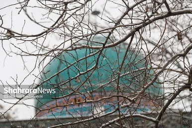 گزارش تصویری | بارش برف در مشهد (۲۱ بهمن ۱۴۰۳)