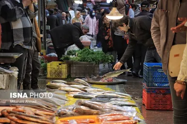 نوروزگردی | رشت