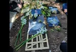 فعلا شرایط بازگشایی درب آرامگاه فردوسی و مزار استاد شجریان وجود ندارد