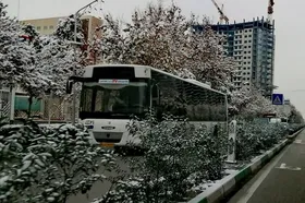 شهروند خبرنگار | نمایی از اولین برف پاییزی مشهد در آذرماه ۱۴۰۱