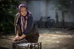 معرفی فیلم «شادروان» حسین نمازی