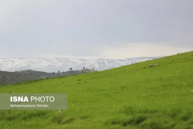 ایران زیباست | زمستان بَهاری در فارس