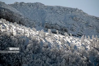ایران زیباست | گلستان برفی
