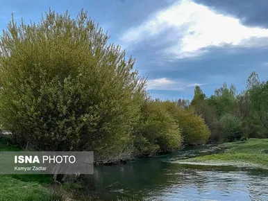 ایران زیباست | طبیعت بهاری شازند