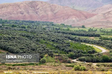 ایران زیباست | طبیعت بهاری «طارُم»، هندوستان ایران