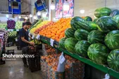 قیمت امروز میوه و تره بار در مشهد (۲۸ شهریور ۱۴۰۵) | ثبات قیمت میوه