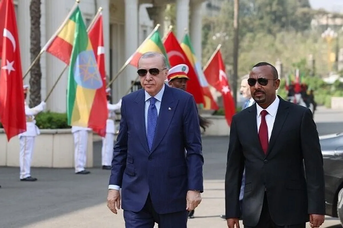 اردوغان: تصمیم اسرائیل برای به‌رسمیت‌شناختن سومالی‌لند بی‌فایده است